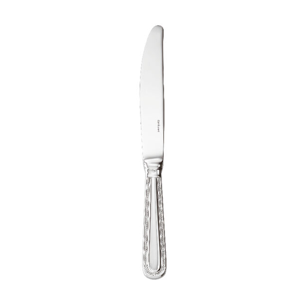 Table knife - 24,8 cm, Hollow Handle image number 0